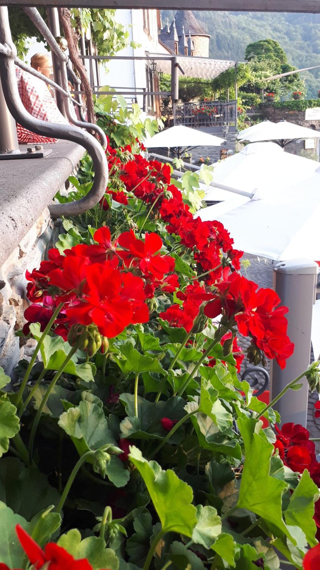 Hotel Restaurant Alte Stadtmauer Beilstein  Exterior foto
